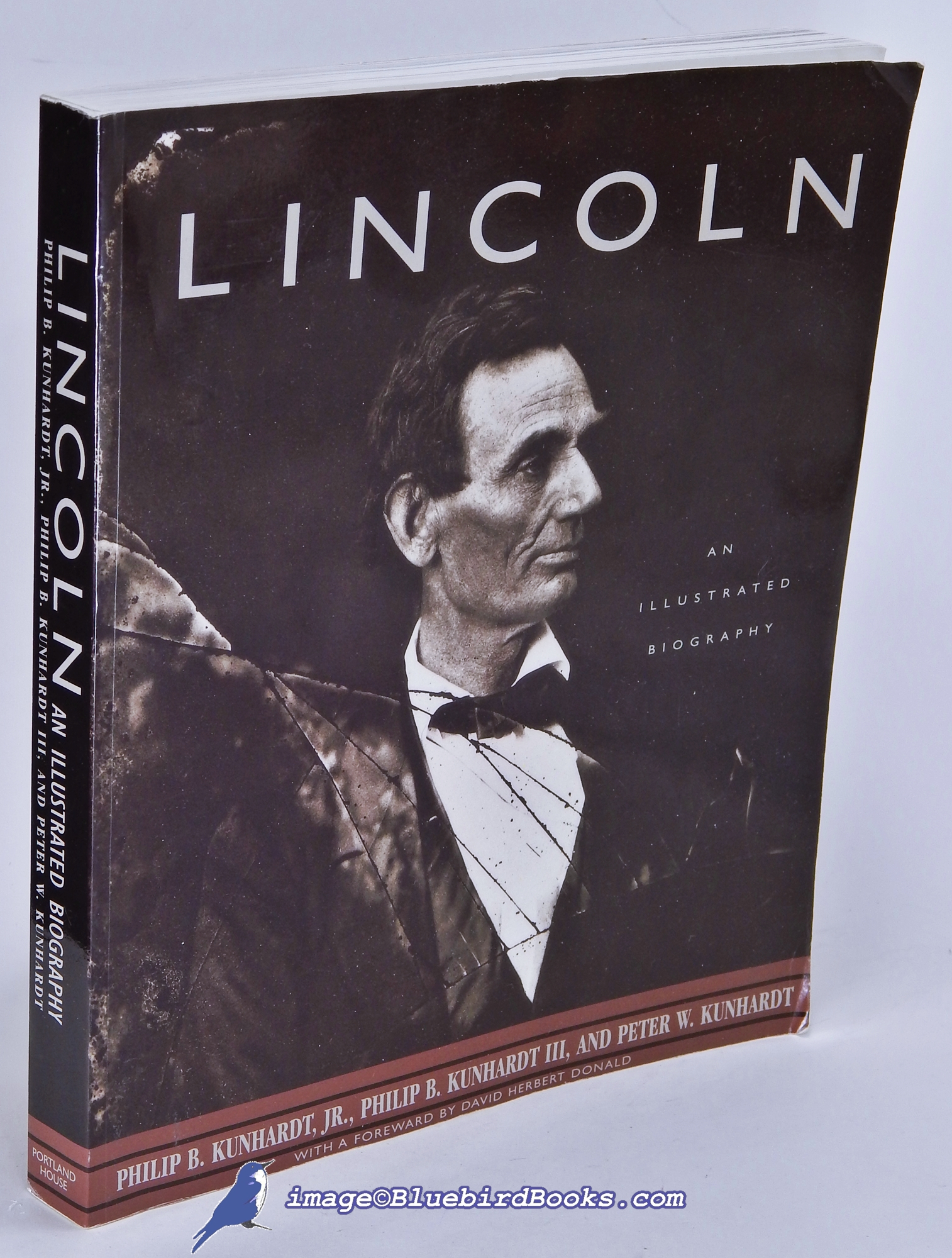 Image for Lincoln: An Illustrated Biography