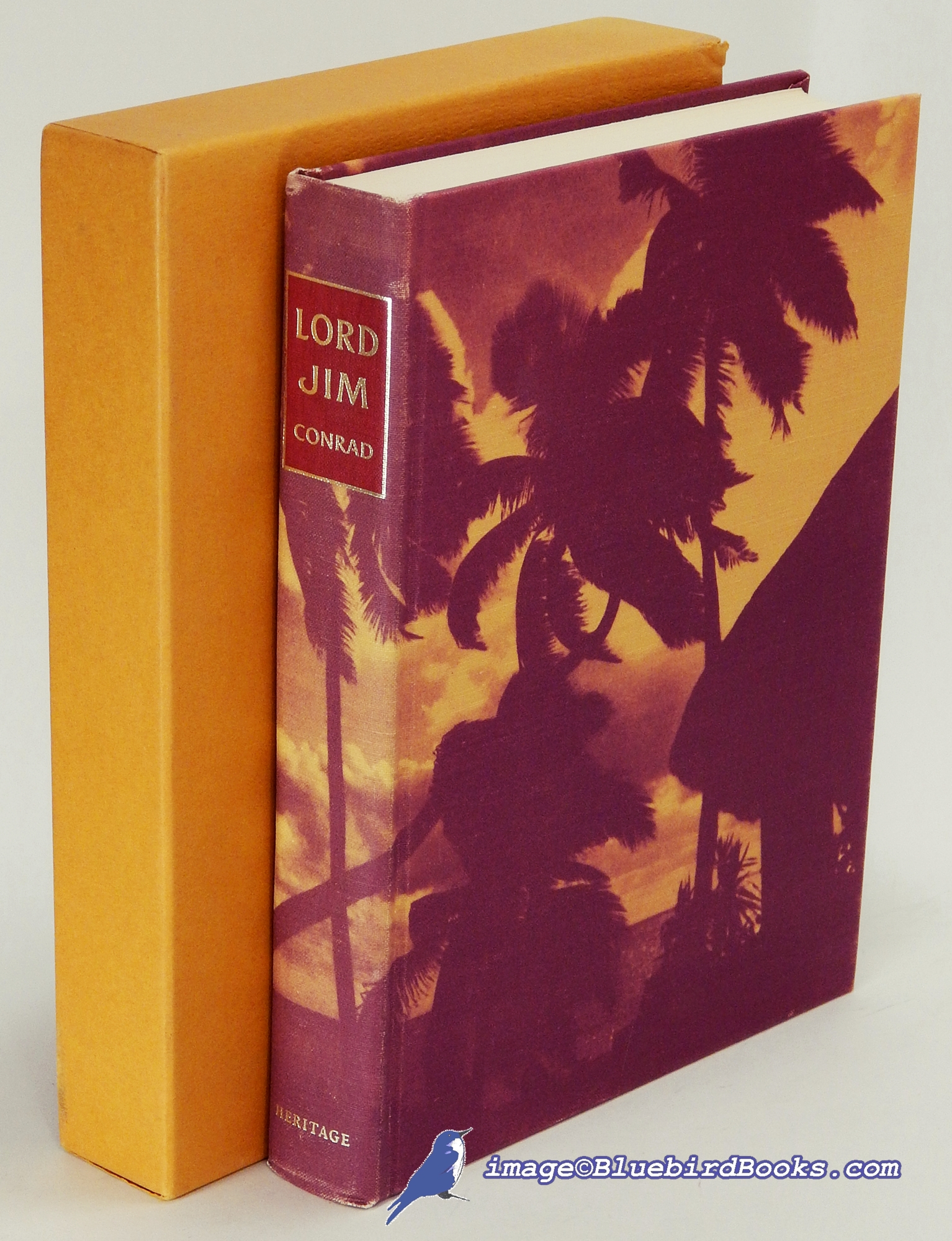 Image for Lord Jim: A Tale