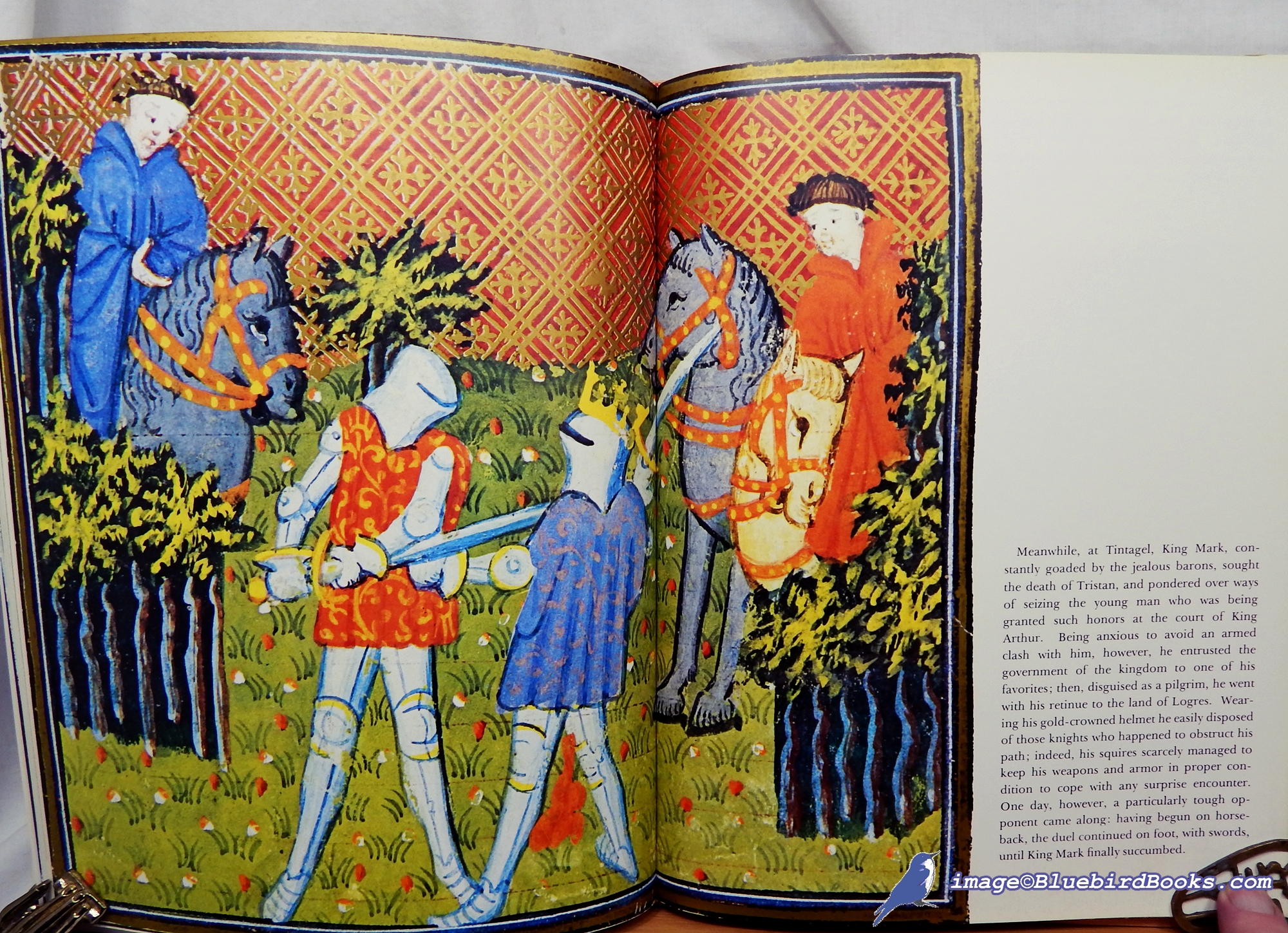 BISE, GABRIEL (TEXT) - Illuminated Manuscripts: Tristan and Isolde