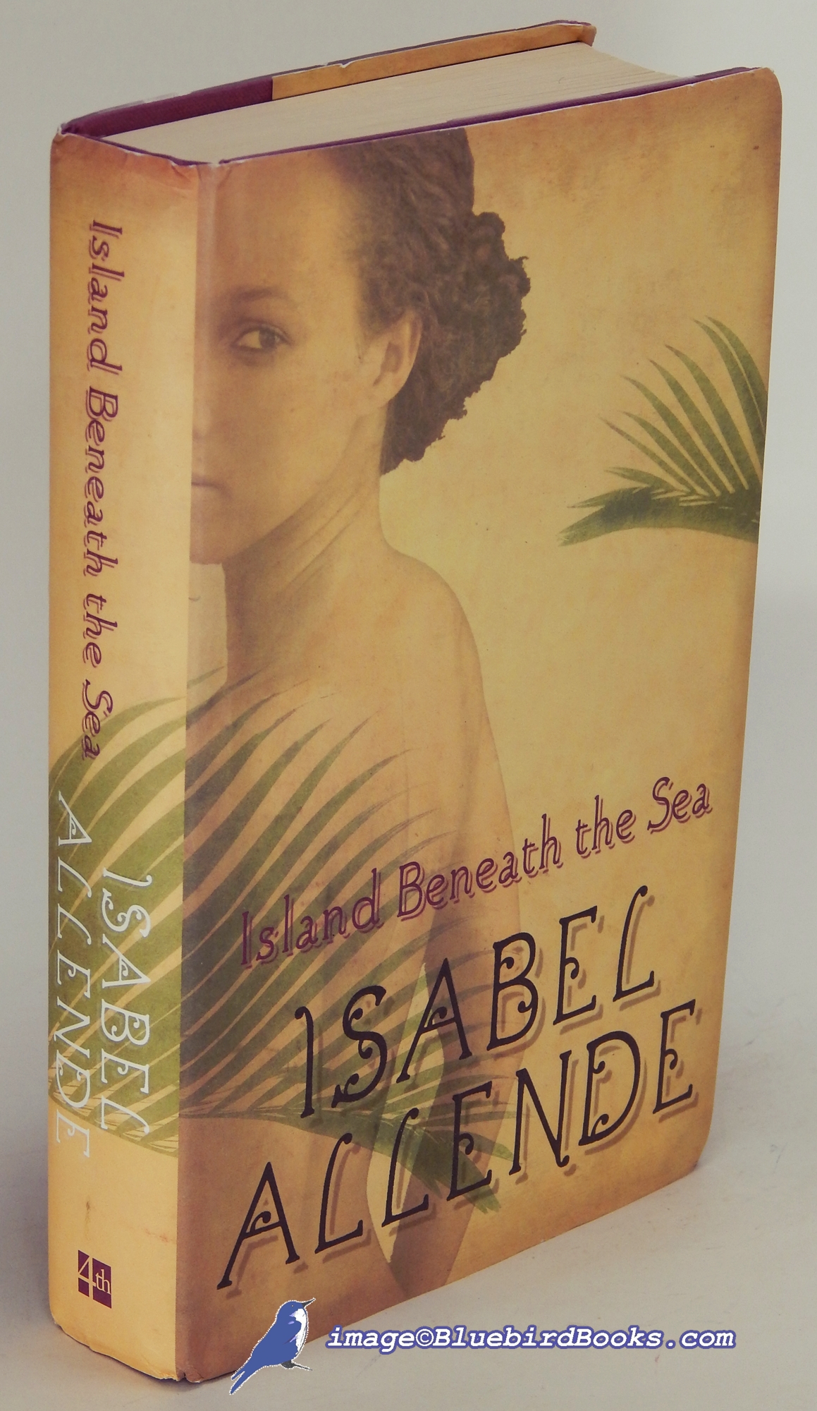 ALLENDE, ISABEL - Island Beneath the Sea