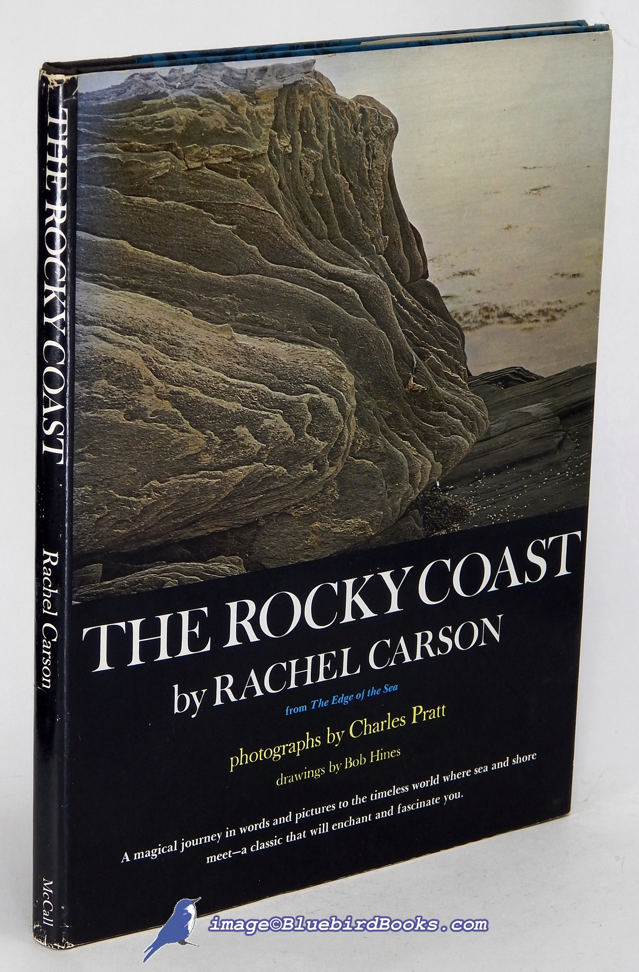 Image for The Rocky Coast