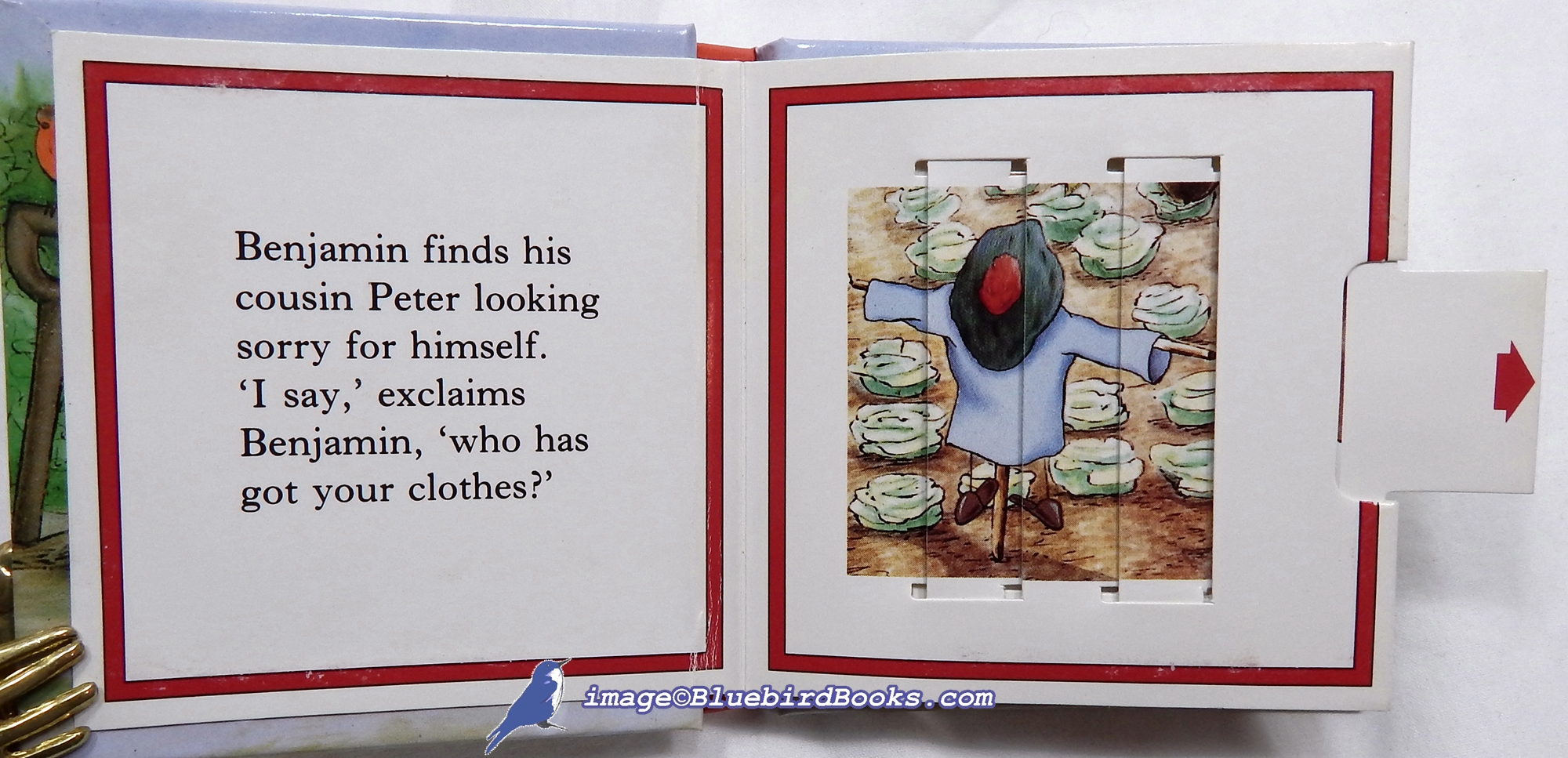 POTTER, BEATRIX - Peter Rabbit: With Sliding Pictures (Beatrix Potter Little Hide-and-Seek Books)