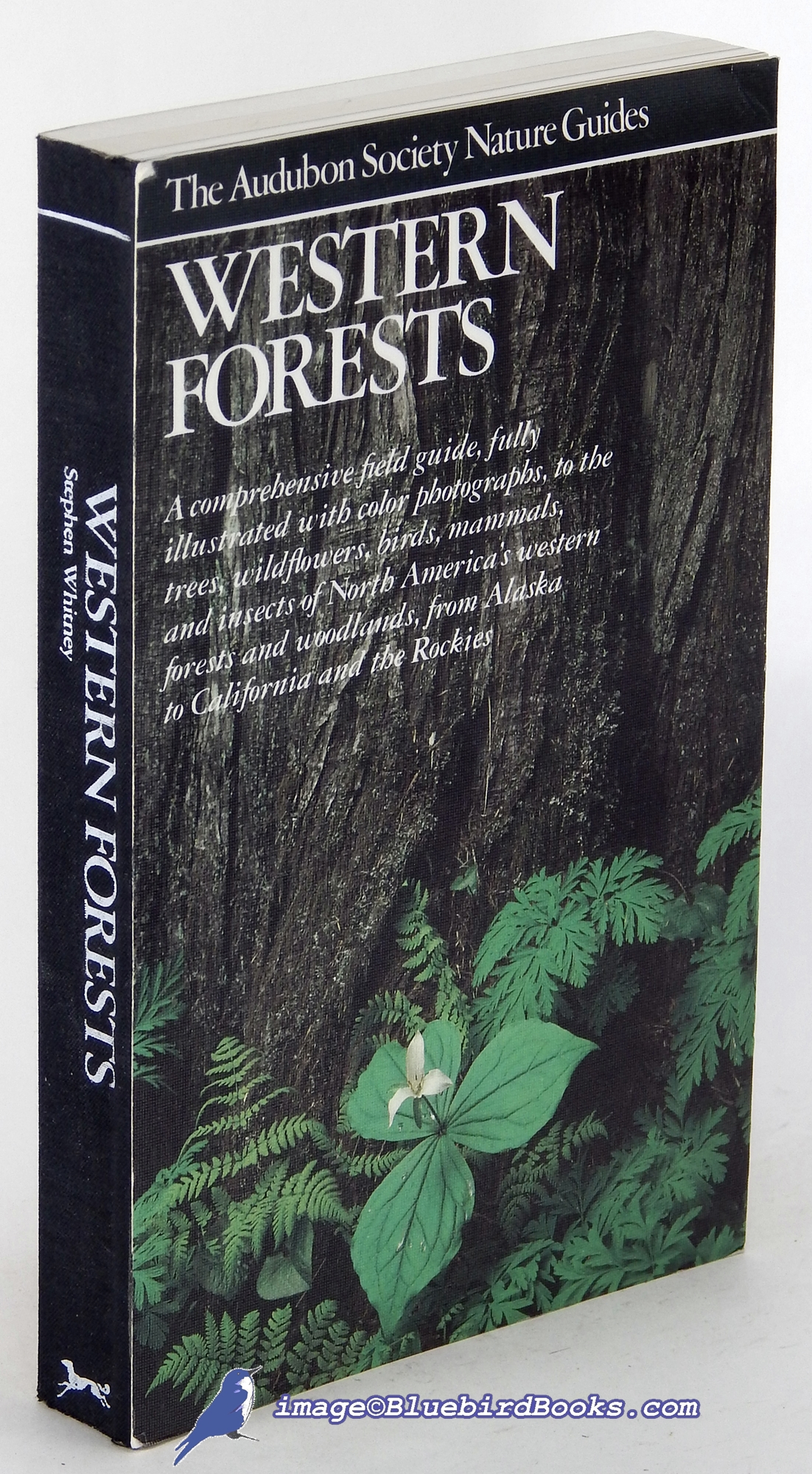 Western Forests: Birds, Butterflies, Insects & Spiders, Mammals