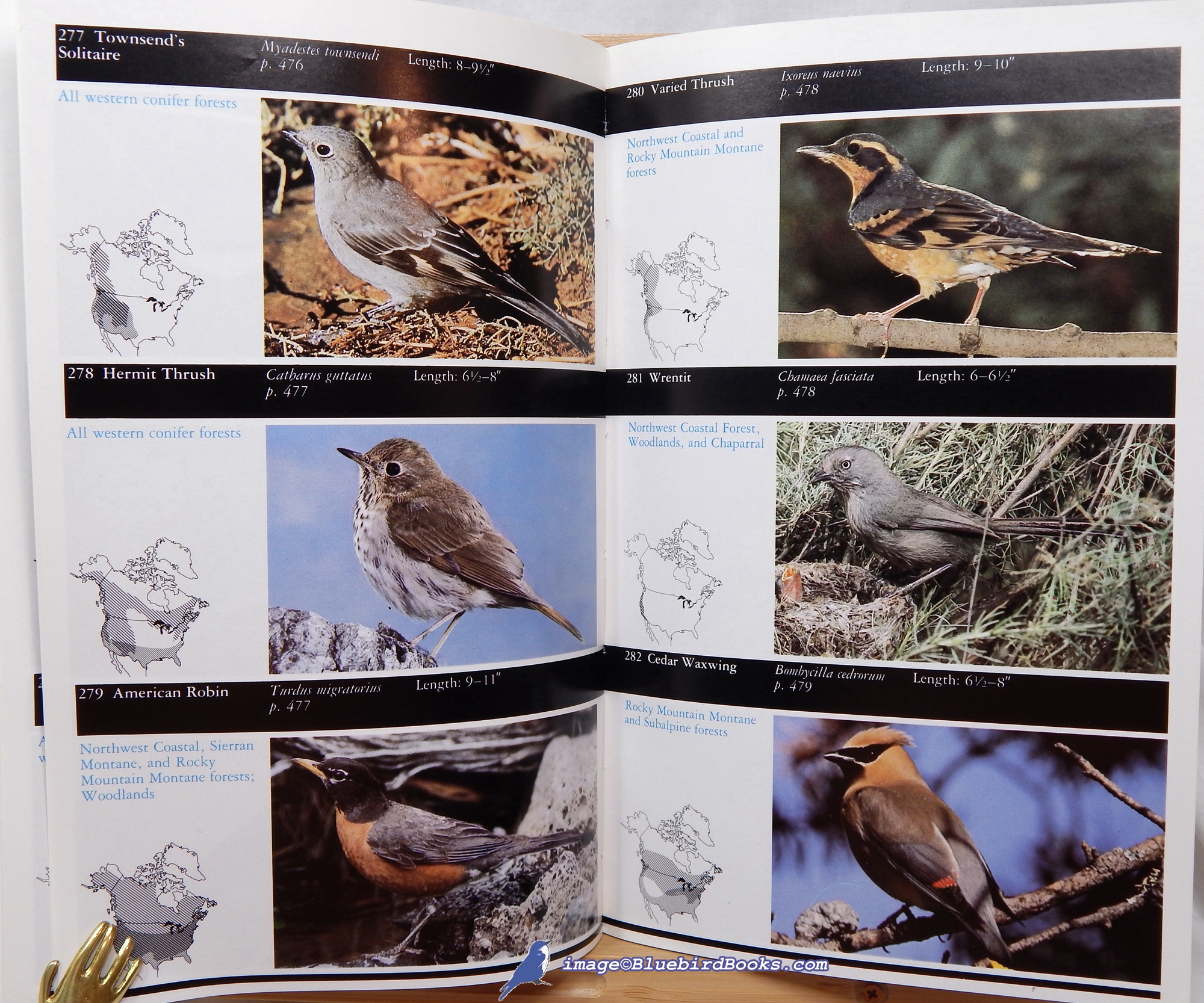 WHITNEY, STEPHEN - Western Forests: Birds, Butterflies, Insects & Spiders, Mammals, Mushrooms, Reptiles & Amphibians, Trees and Wildflowers (the Audubon Society Nature Guides)