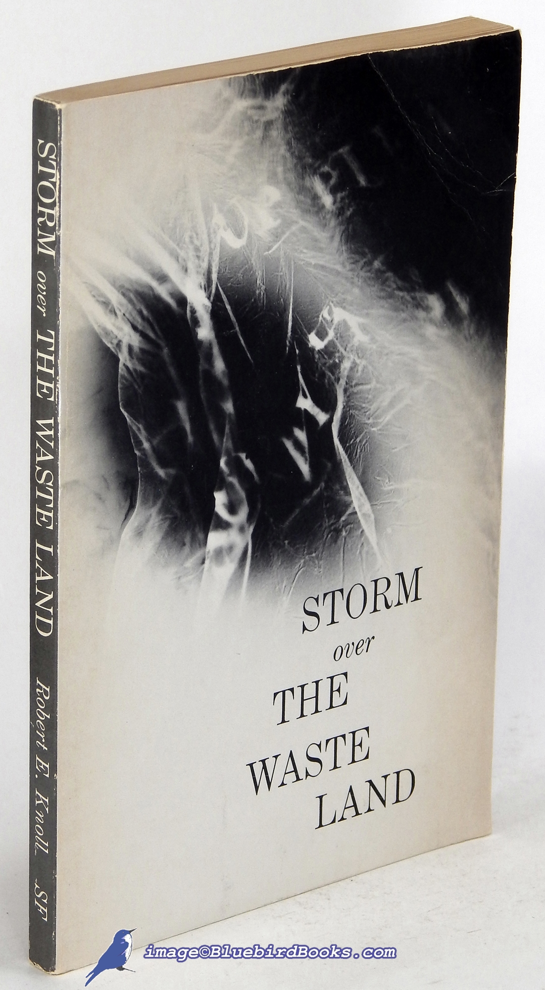 KNOLL, ROBERT E. - Storm over the Waste Land