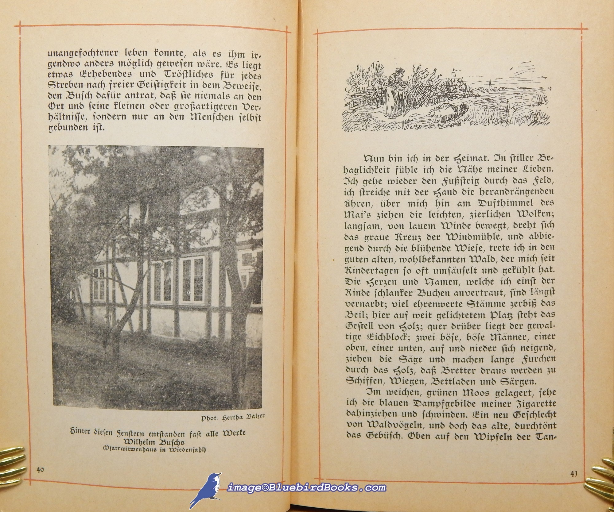 BUSCH, WILHELM (AUTHOR AND ILLUSTRATOR); BALZER, HANS (EDITOR) - Wilhelm Buschs Buch Des Lebens (Wilhelm Busch's Book of Life) (in German Language)