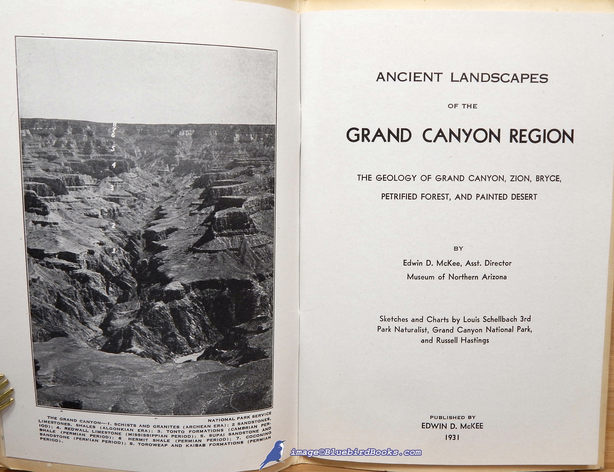 MCKEE, EDWIN D. - Ancient Landscapes of the Grand Canyon Region: The Geology of Grand Canyon, Zion, Bryce, Petrified Forest, and Painted Desert
