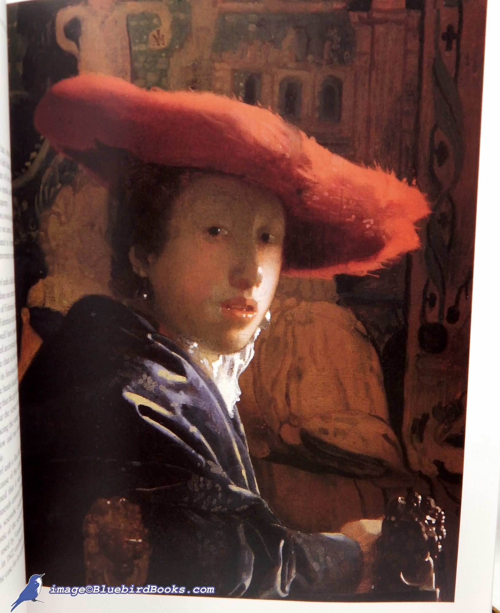 BAILEY, MARTIN - Vermeer (Phaidon Colour Library)