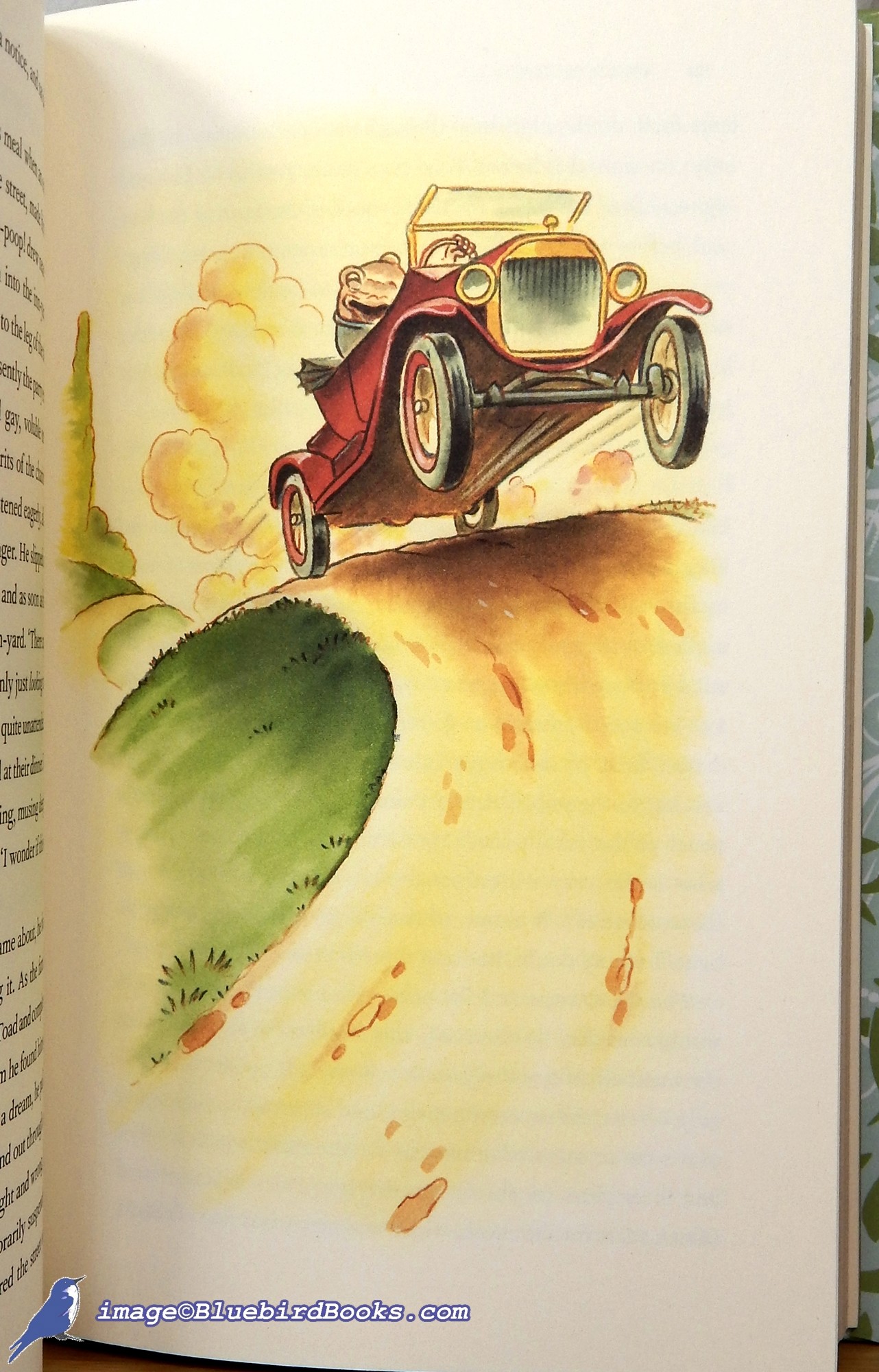 GRAHAME, KENNETH (AUTHOR); MACDONALD, ROSS (ILLUSTRATIONS) - The Wind in the Willows