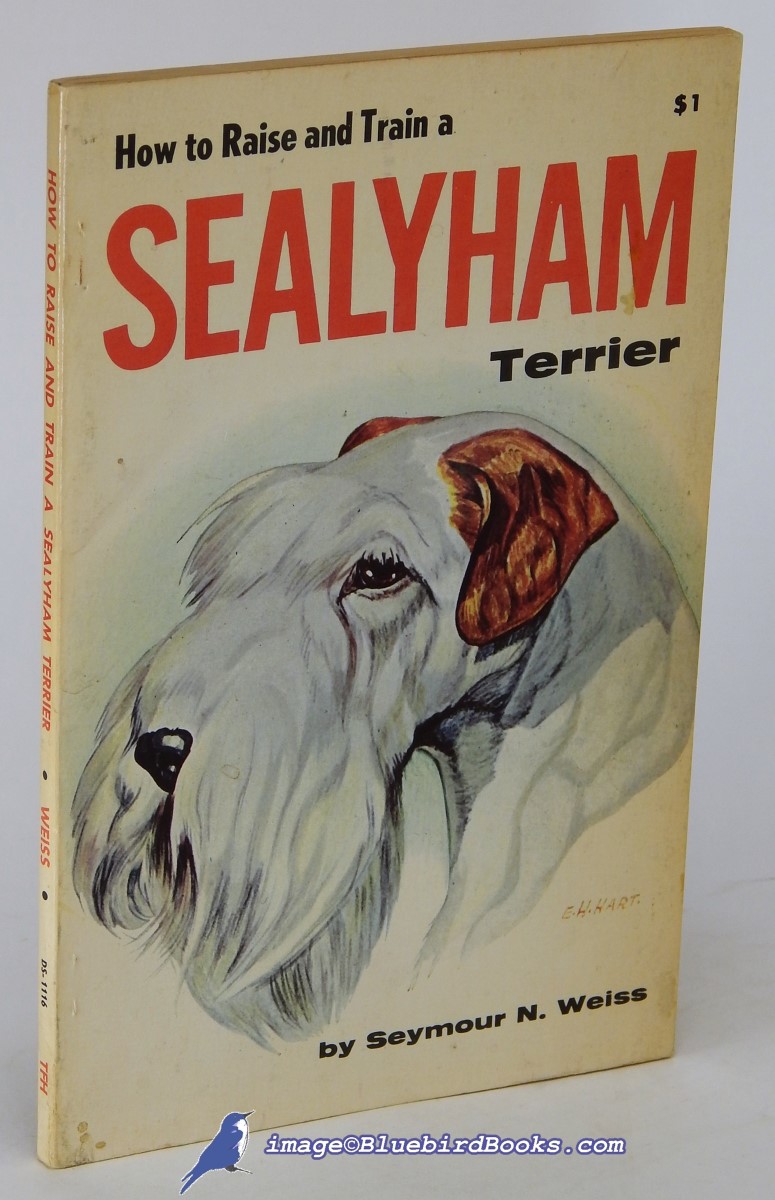 Image for How to Raise and Train a Sealyham Terrier