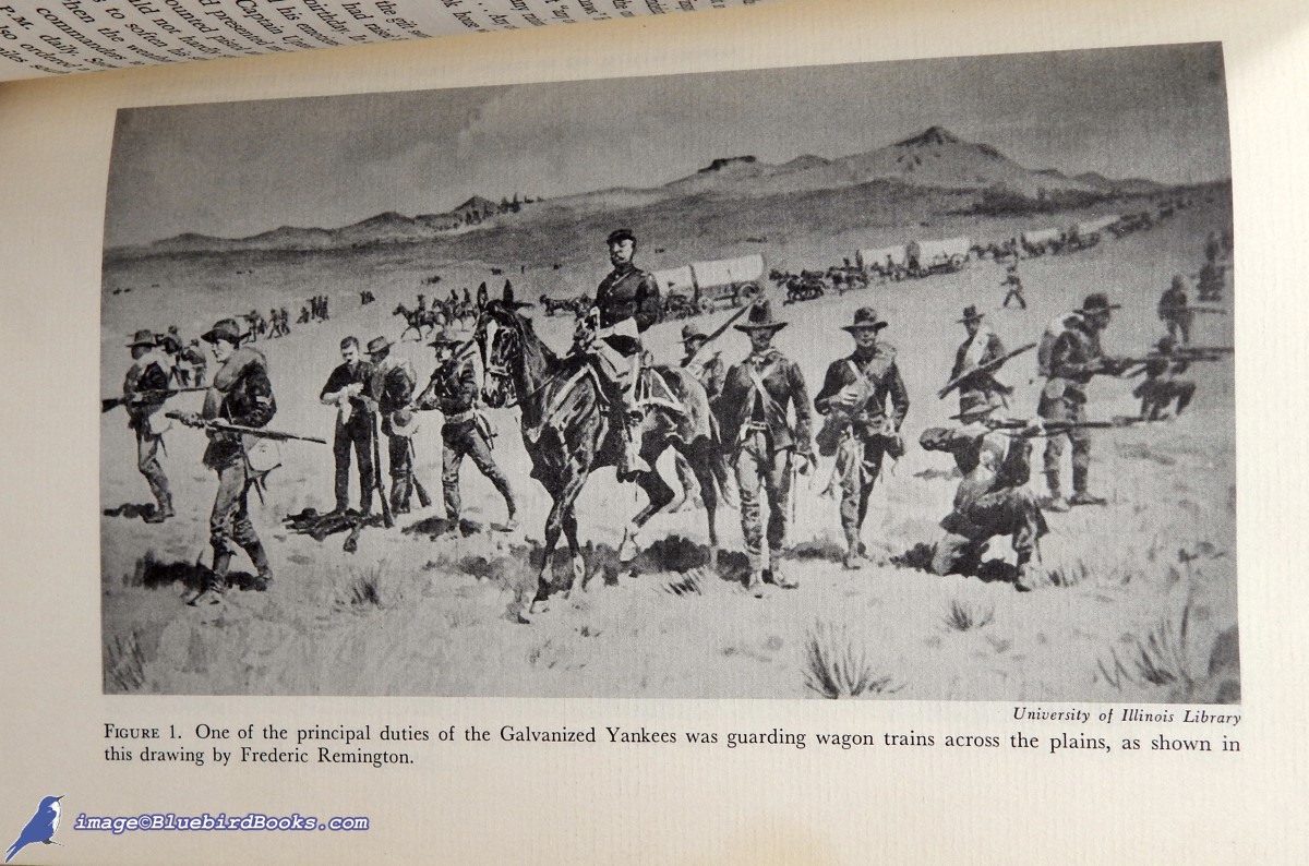 BROWN, D. ALEXANDER - The Galvanized Yankees