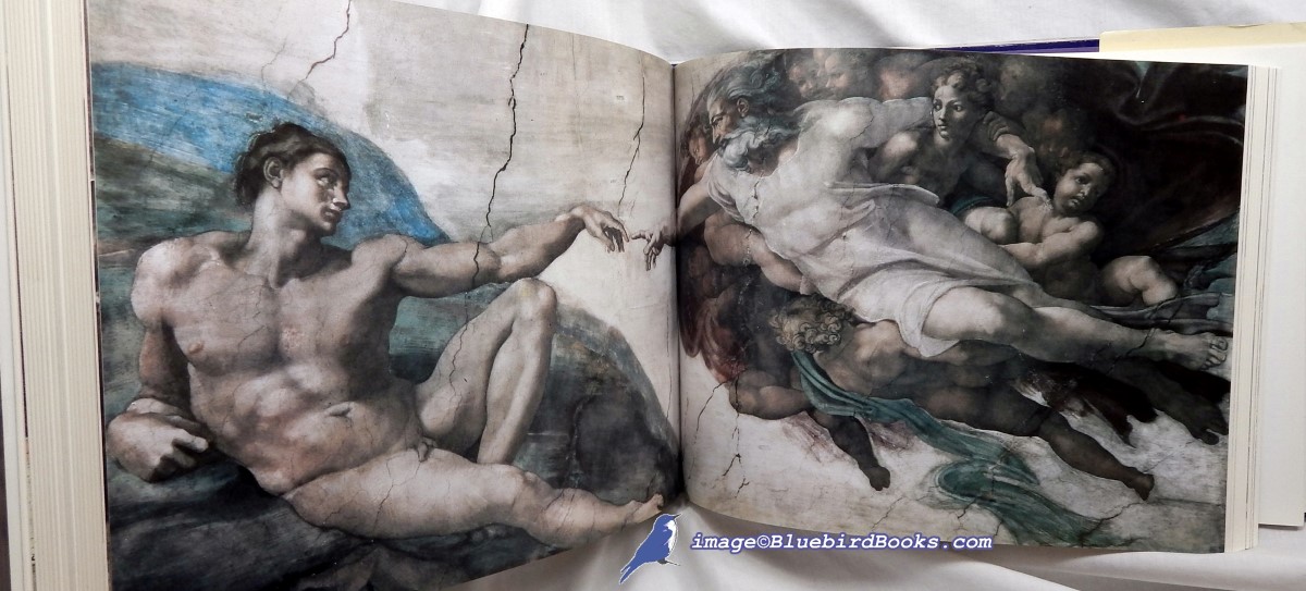 COPPLESTONE, TREWIN - Michelangelo