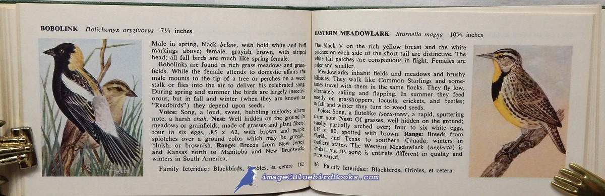 REED, CHESTER A. - Bird Guide: Land Birds East of the Rockies, New Revised Edition