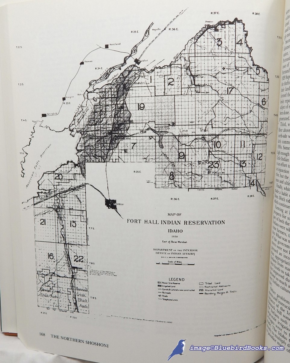 MADSAM, BRIGHAM D. - The Northern Shoshoni