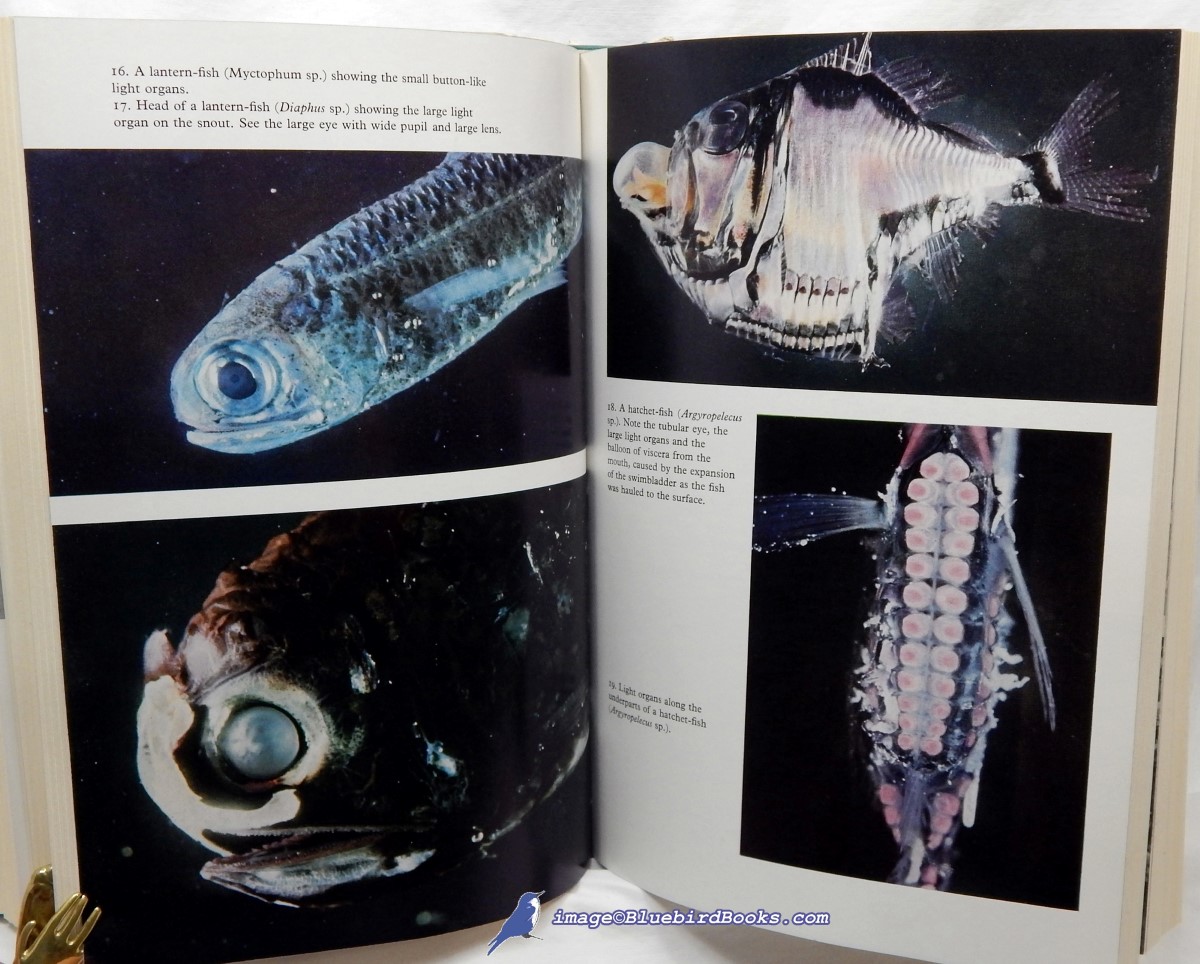 MARSHALL, N. B. - The Life of Fishes (the World Natural History Series)