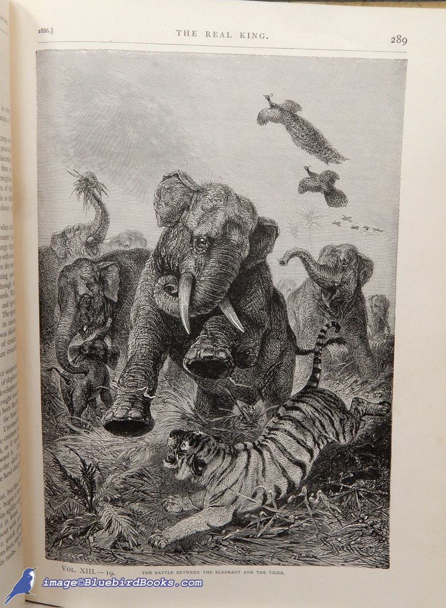 BURNETT, FRANCES HODGSON ET AL.; DODGE, MARY MAPES (EDITOR) - St. Nicholas Magazine (Volume XIII, Part I) Six Issues Bound Into One Volume: An Illustrated Magazine for Young Folks. November, 1885 to April, 1886 (First Appearance of Parts of Burnett's Little Lord Fauntleroy)