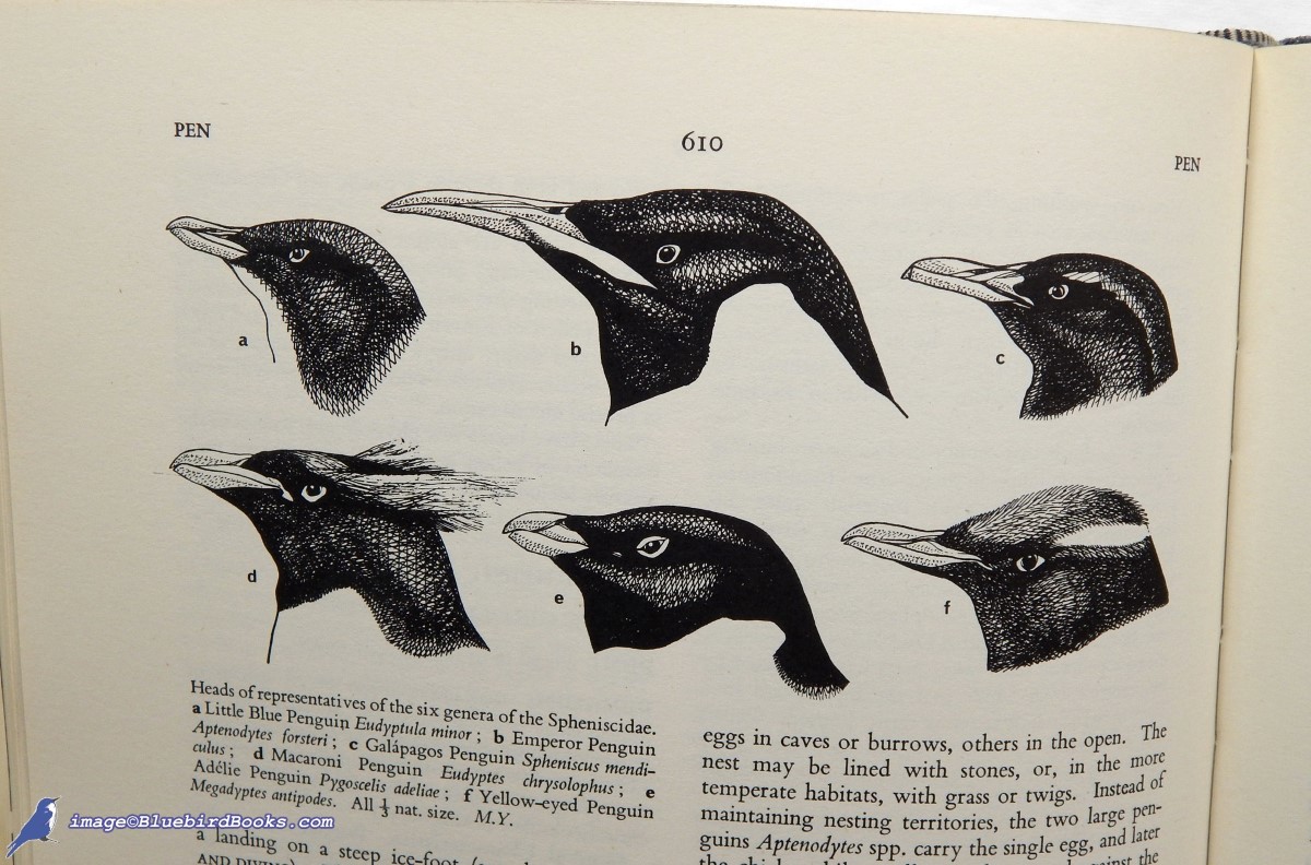 THOMSON, A. LANDSBOROUGH (EDITOR) - A New Dictionary of Birds: Covering the Birds of the World