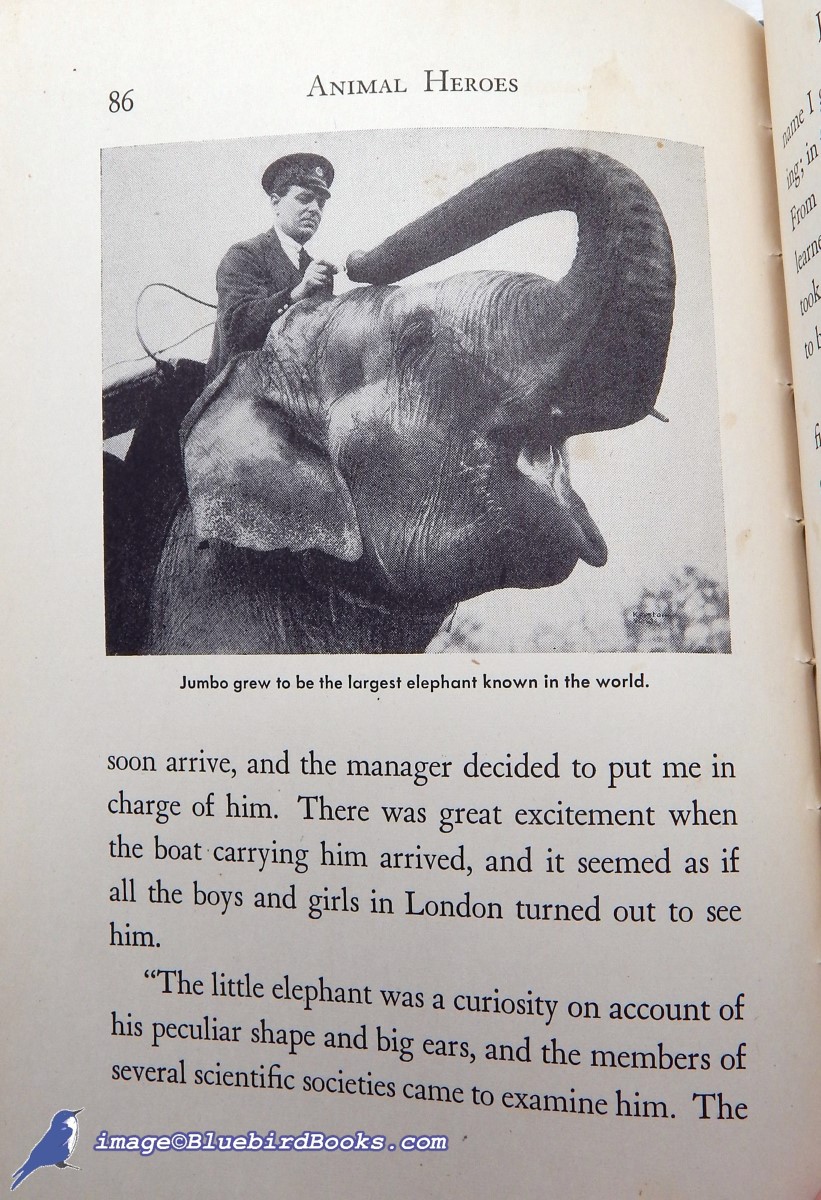 LLOYD, ERNEST - Animal Heroes