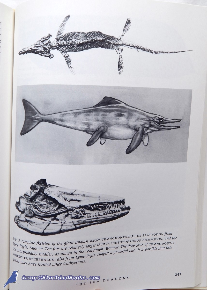 MCGOWAN, CHRISTOPHER - Dinosaurs, Spitfires & Sea Dragons
