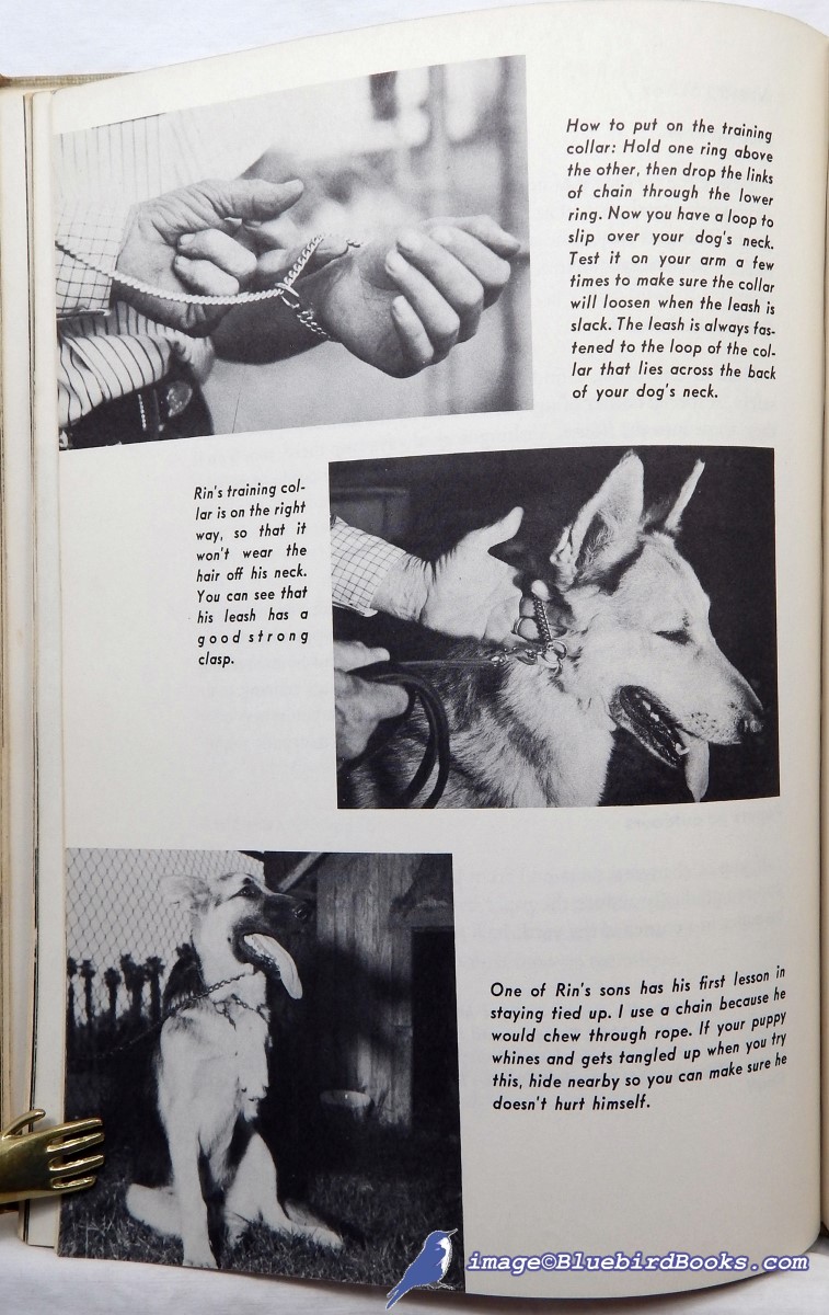DUNCAN, LEE - The Rin-Tin-Tin Book of Dog Care