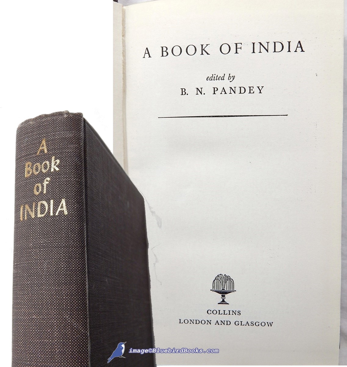 A Book of India: An Anthology of Prose and Poetry from the Indian Subcontinent