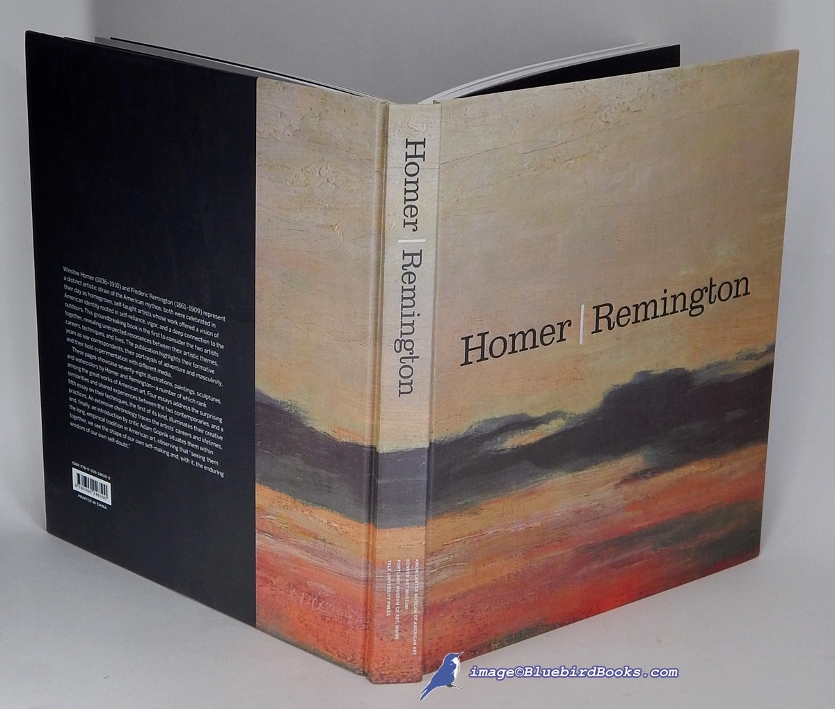 Image for Homer Remington Homer Remington