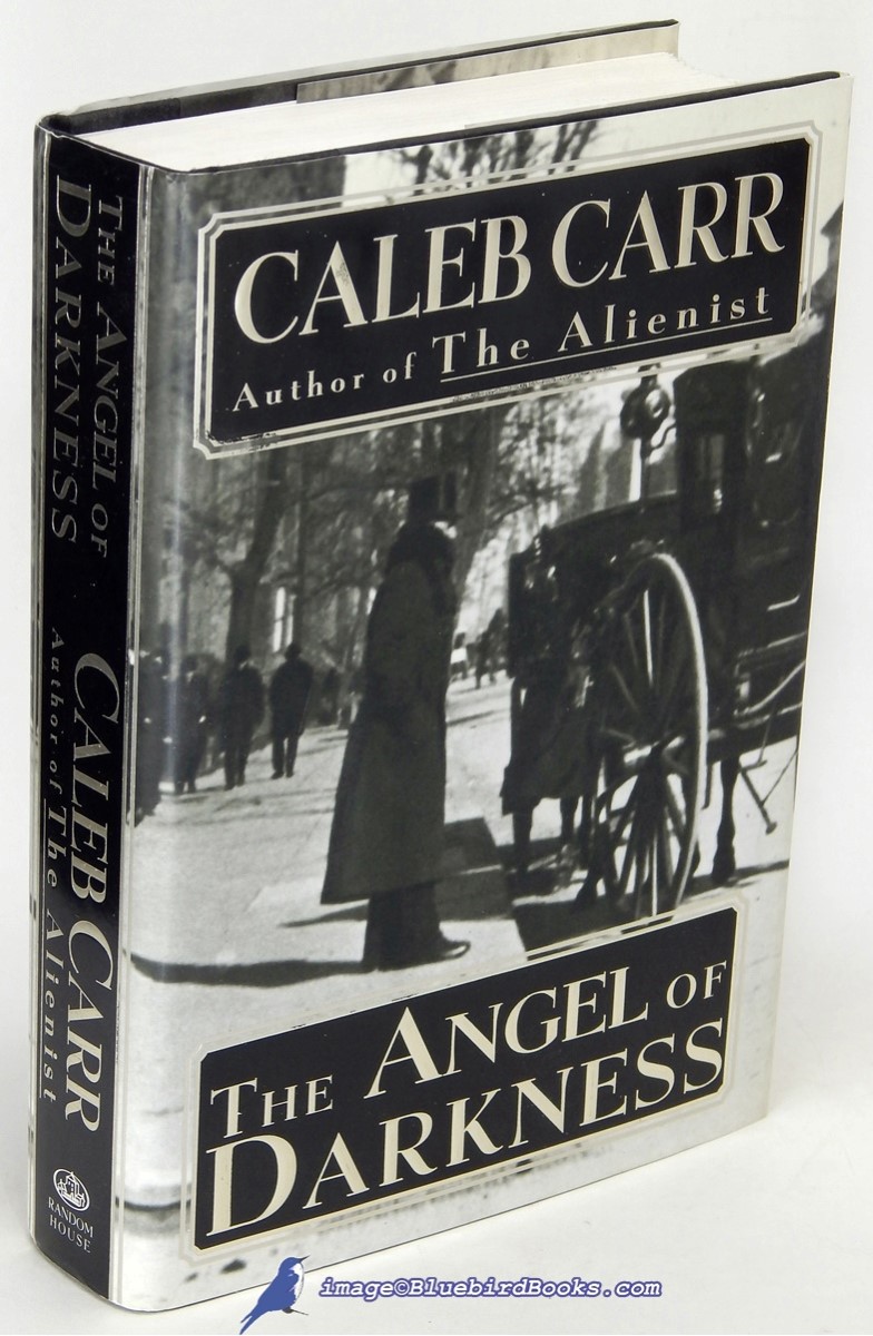 Image for The Angel of Darkness The Angel of Darkness