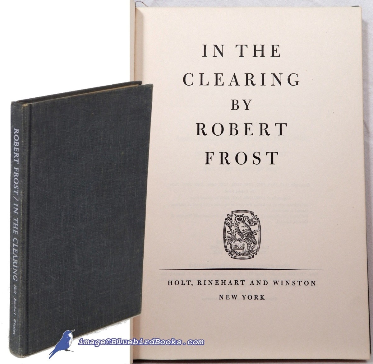 In the Clearing