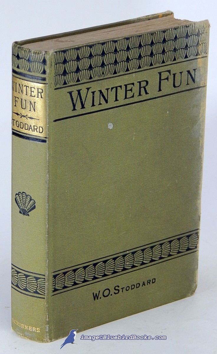 Image for Winter Fun Winter Fun