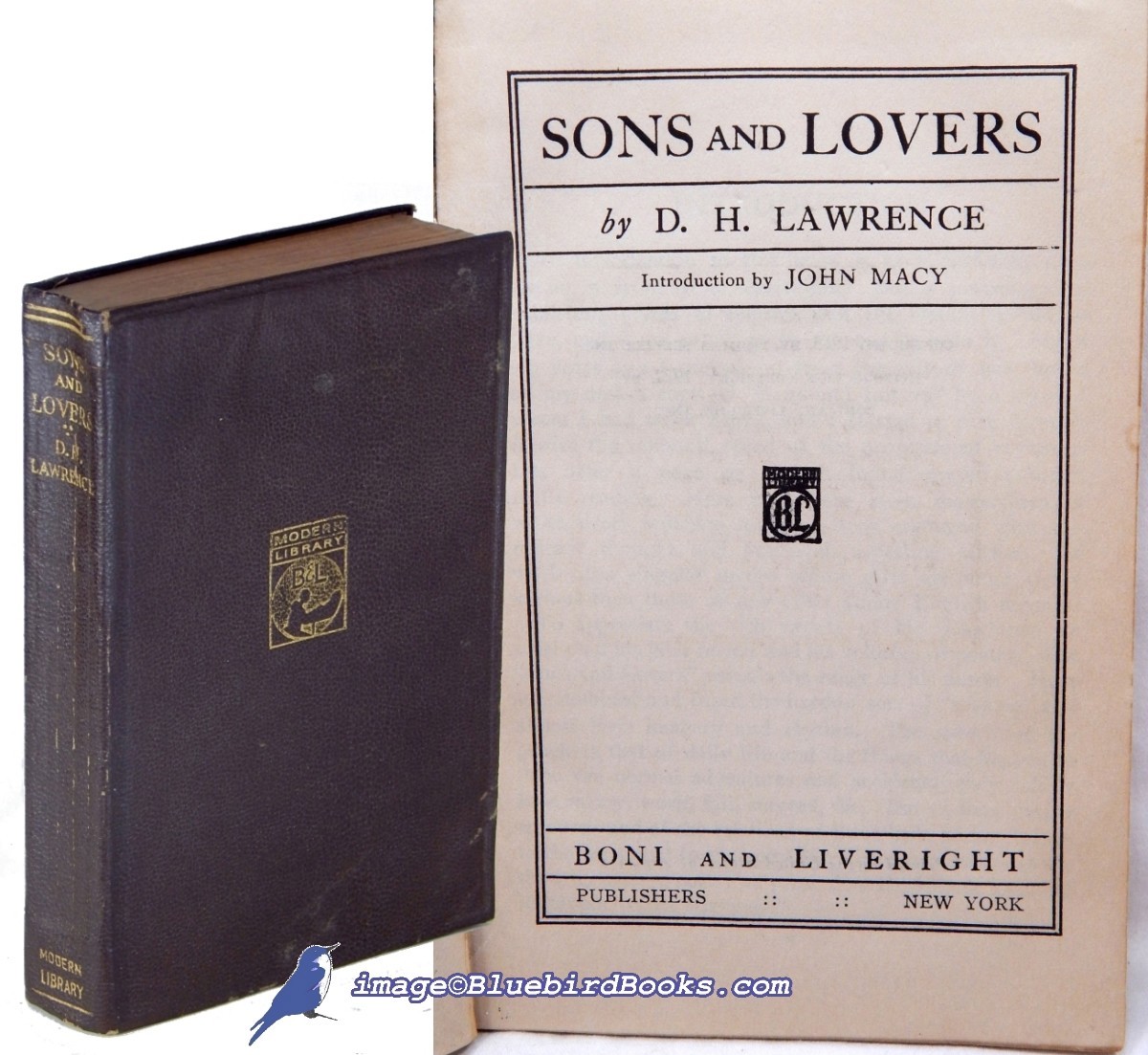 Image for Sons and Lovers; (In limp leatherette spine 3, Modern Library #109.1) Sons and Lovers; (In limp leatherette spine 3, Modern Library #109.1)