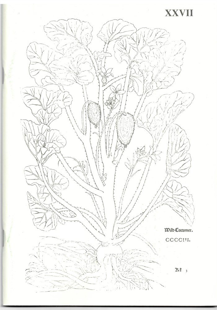 SOKOL, A. - A. Sokol Books. Catalogue XXVII