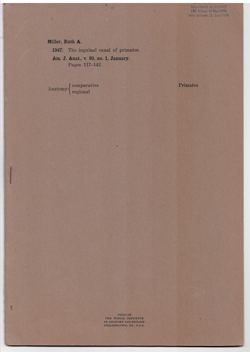 MILLER, RUTH A. - The Inguinal Canal of Primates. Reprinted from the American Journal of Anatomy. Volume 80 No. 1, January 1947