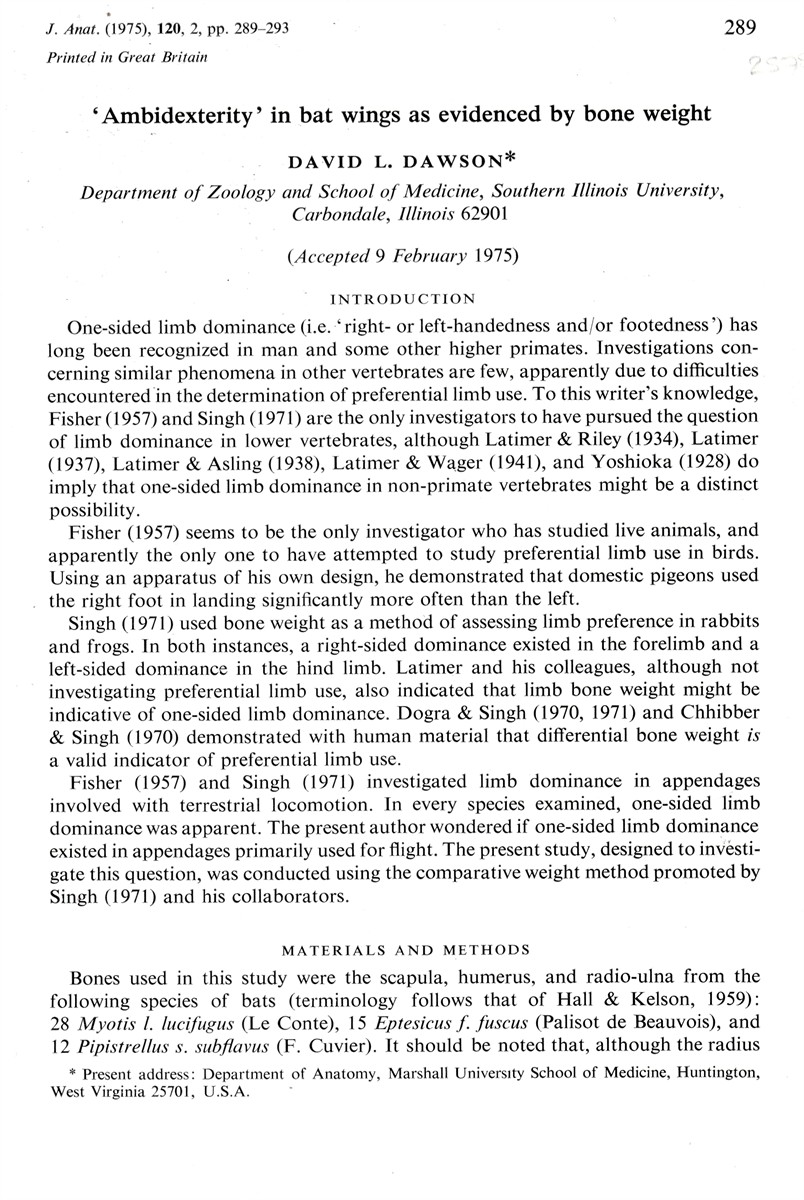 DAWSON, DAVID L. - 'Ambidexterity' in Bat Wings As Evidenced by Bone Weight. Offprint from the Journal of Anatomy Volume 120 1975 Part 2