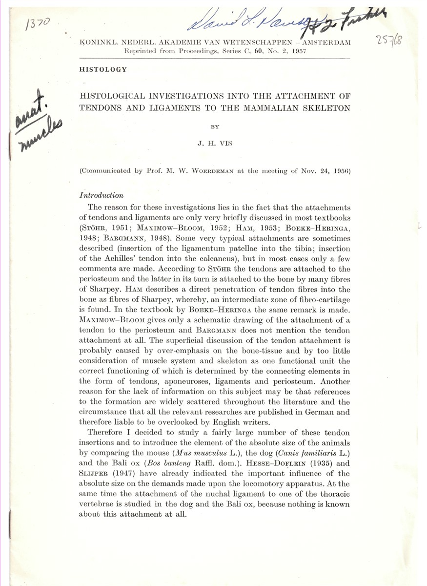 VIS, J. H. - Histological Investigations Into the Attachment of Tendons and Ligaments to the Mammalian Skeleton. Reprinted from the Koninklijke Nederlandse Akademie Van Wetenschappen - Amsterdam. Proceedings, Series C, 60, No. 2, 1957