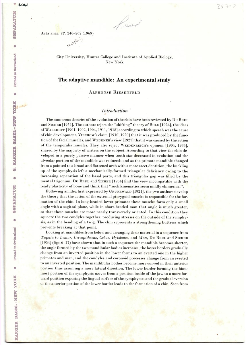 RIESENFELD, ALPHONSE - The Adaptive Mandible: An Experimental Study. Offprint from Acta Anatomica Volume 72, 1969