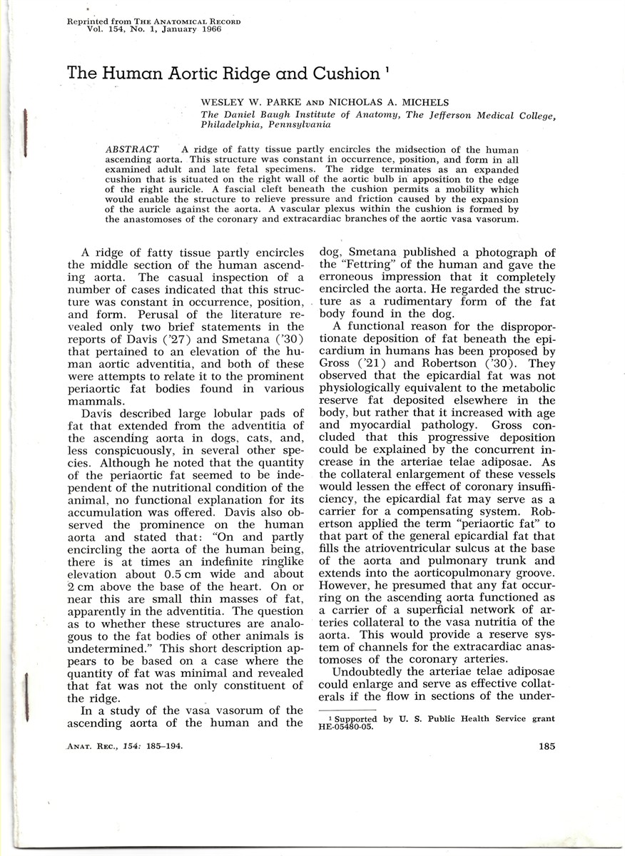 PARKE, WESLEY & NICHOLAS A. MICHELS - The Human Aortic Ridge and Cushion. Reprinted from the Anatomical Record Vol. 154, No. 1, January 1966