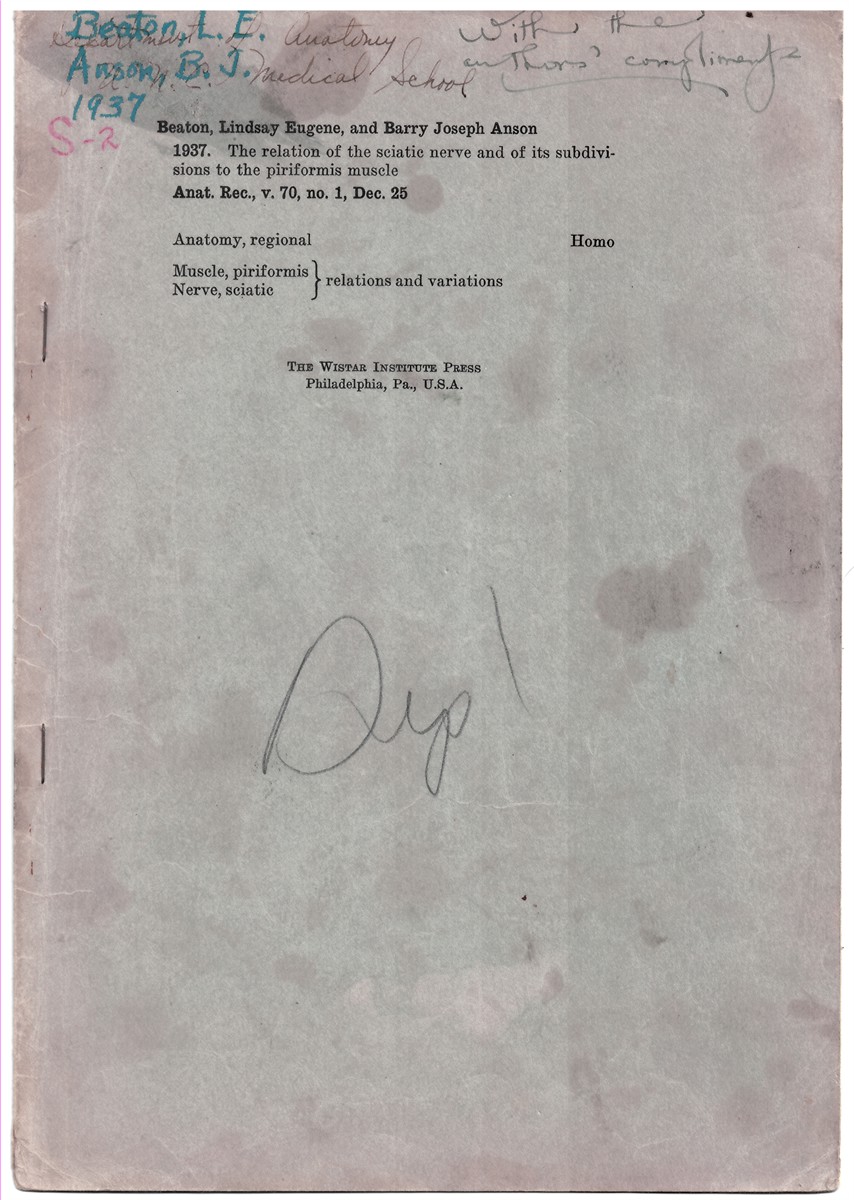 BEATON, LINDSAY EUGENE & BARRY JOSEPH ANSON - The Relation of the Sciatic Nerve and of Its Subdivsions to the Piriformis Muscle. Reprinted from the Anatomical Record Volume 70 No. 1 December 25 (Signed Copy) .