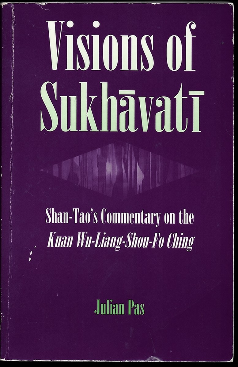 Visions of Sukhavati: Shan-Tao's Commentary on the Kuan Wu-Liang Shou-Fo Ching (Suny Series in Buddhist Studies)