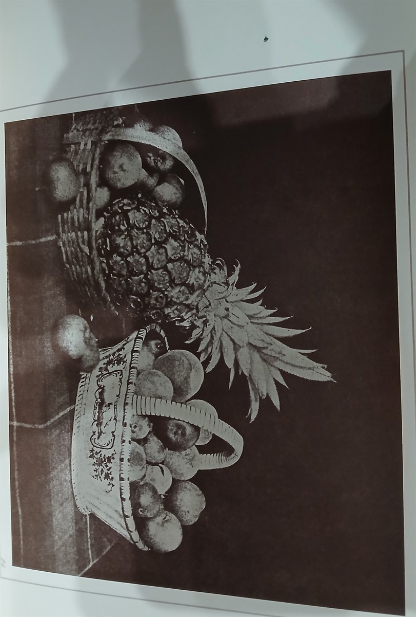 FOX TALBOT, WILLIAM HENRY - The Pencil of Nature (a Fascimille of the 1844 - 1846 Edition)