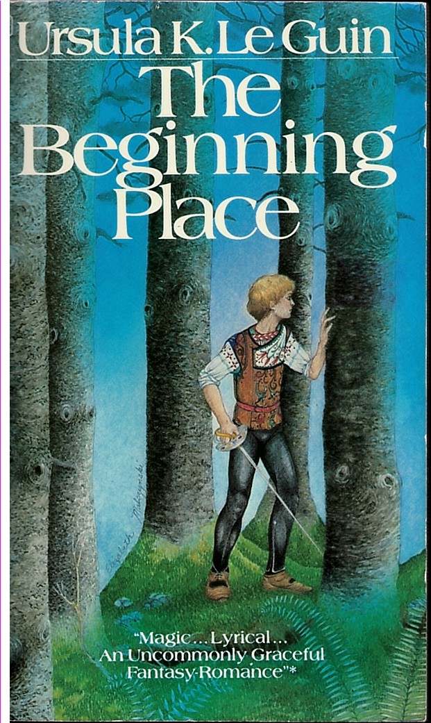 Image for The Beginning Place The Beginning Place