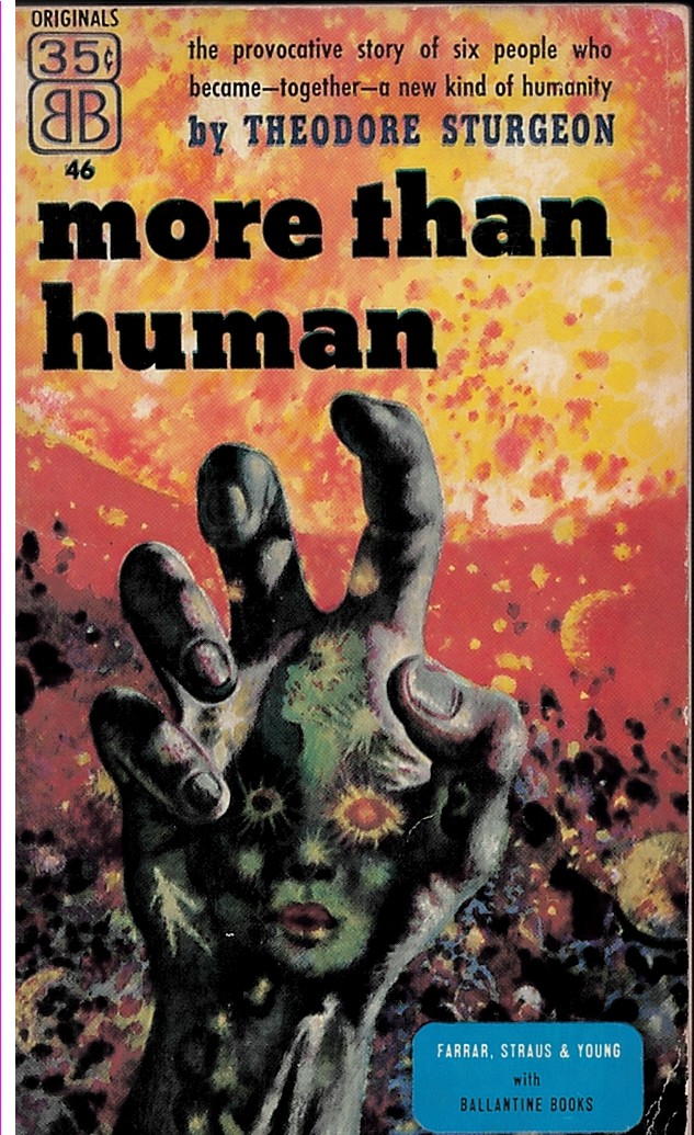 Image for More Than Human More Than Human