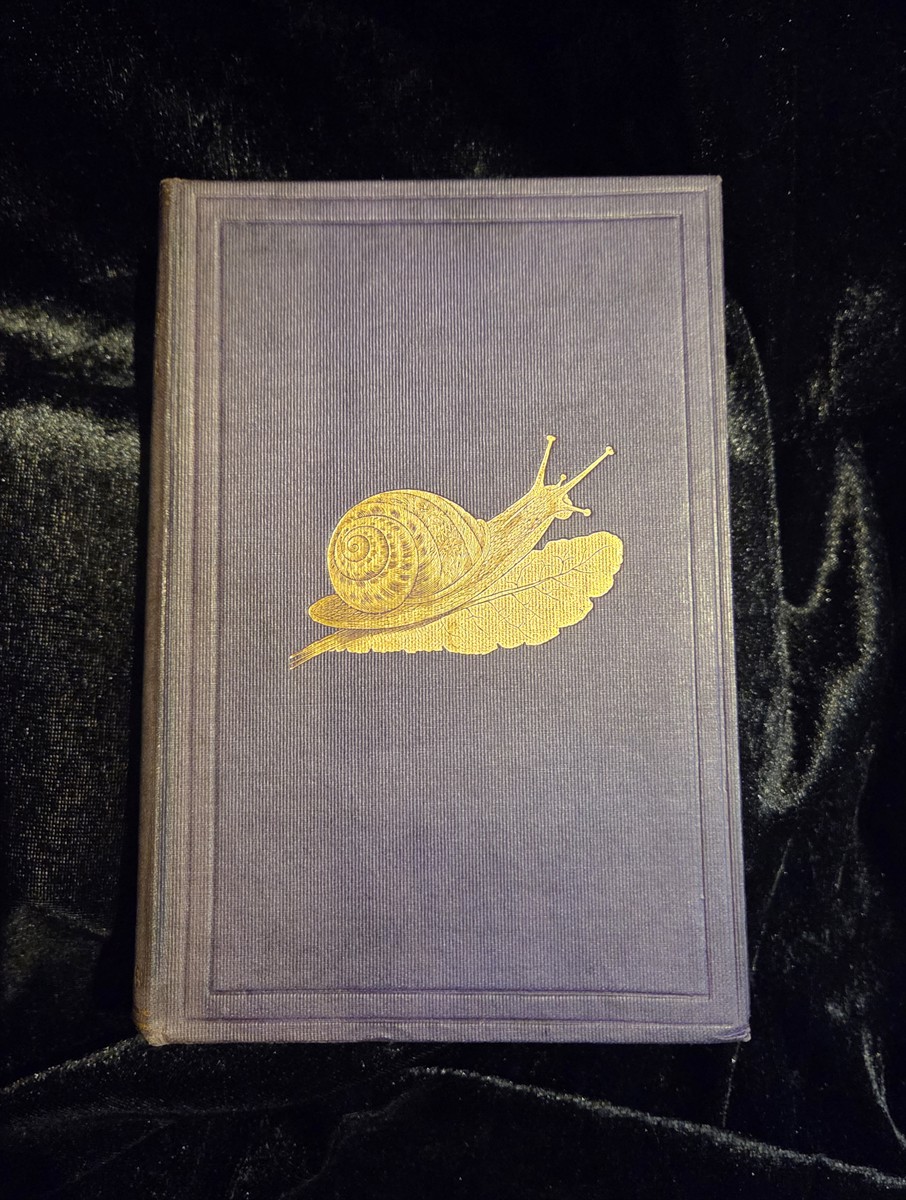 The Ediible Mollusca of Great Britain and Ireland with Recipes for Cooking Them. [Association Copy Edward Braxton Reynolds]