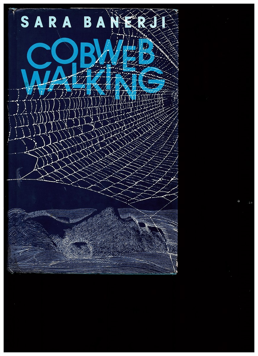Cobweb Walking
