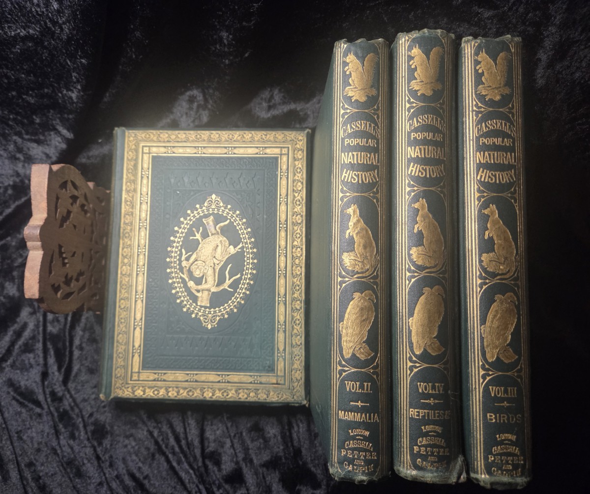Image for Cassell's Popular Natural History. Volumes I-IV (Complete in 4 Volumes) Cassell's Popular Natural History. Volumes I-IV (Complete in 4 Volumes)