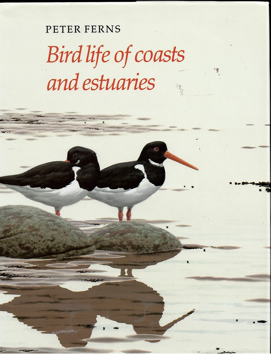 Bird Life of Coasts and Estuaries