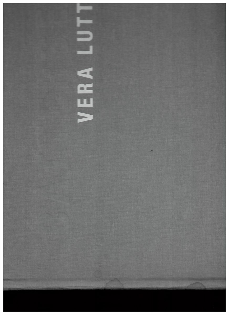 Battersea - Vera Lutter