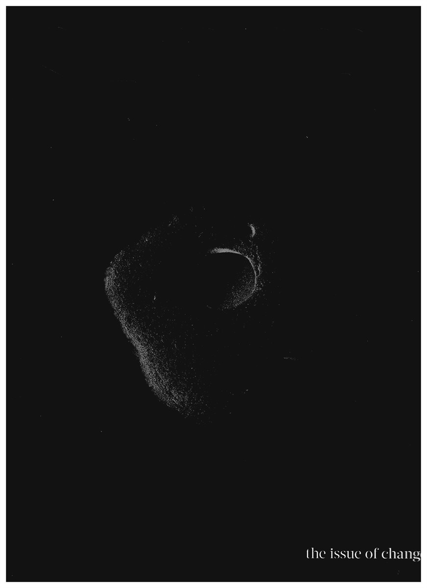 SATORI - Satori - the Issue of Change (Issue No. 2 - Autumn 2017)