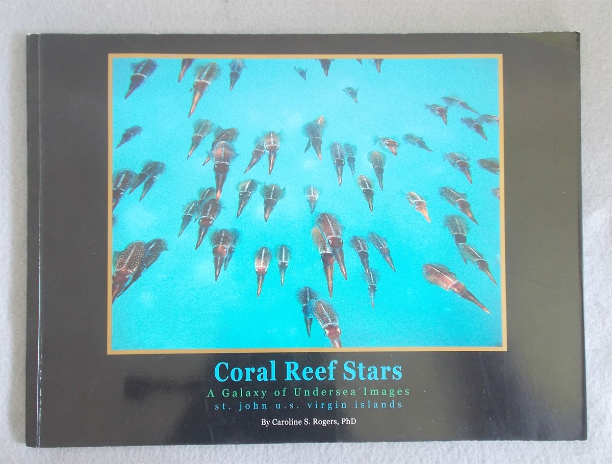 Coral Reef Stars: a Galaxy of Undersea Images (St. John U. S. Virgin Islands)