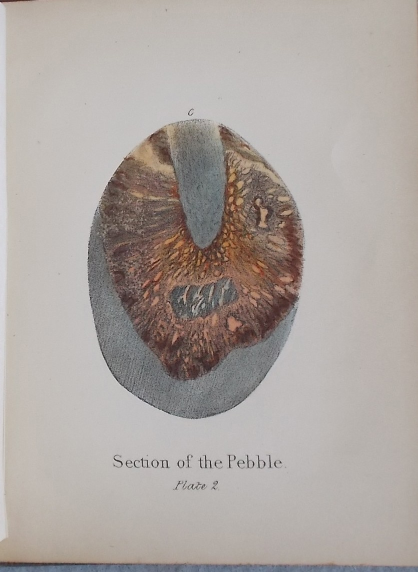 Thoughts on a Pebble, Or, a First Lesson in Geology.
