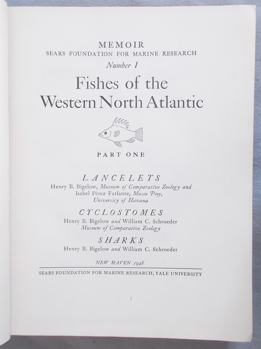 Fishes of the Western North Atlantic (Number 1, Part One) : Lancelets, Cyclostomes, Sharks